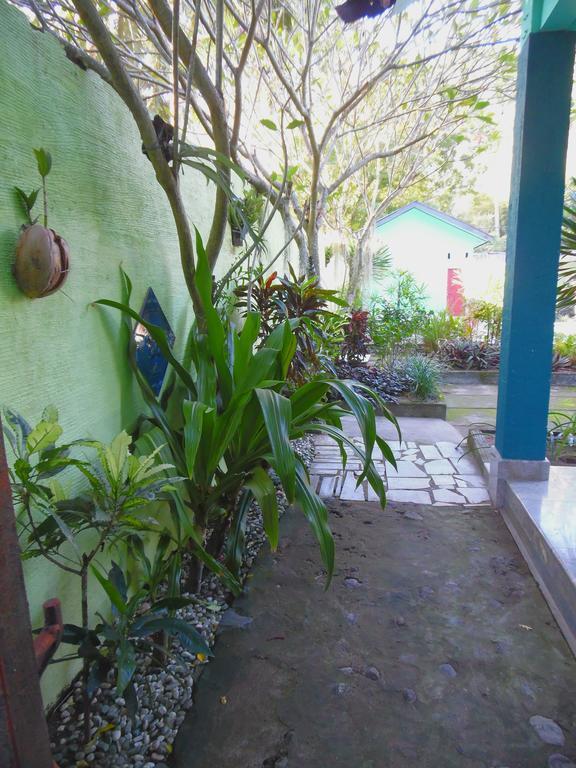 Lazy Monkey Hotel Senggigi Exterior foto